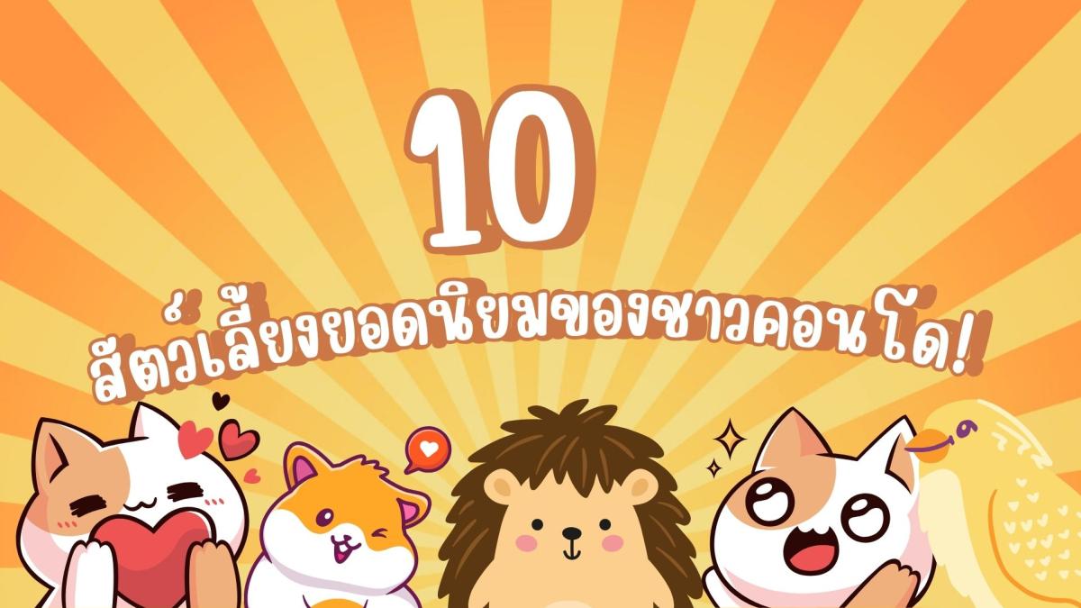 10 สัตว์เลี้ยงยอดนิยมของชาวคอนโด!